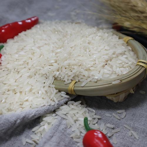 大米批发万佳谷物长早籼米便宜大米食堂用米饭店供应大米50斤装